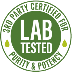 logo2